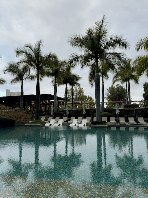 Breakfast view at Savoy Palace